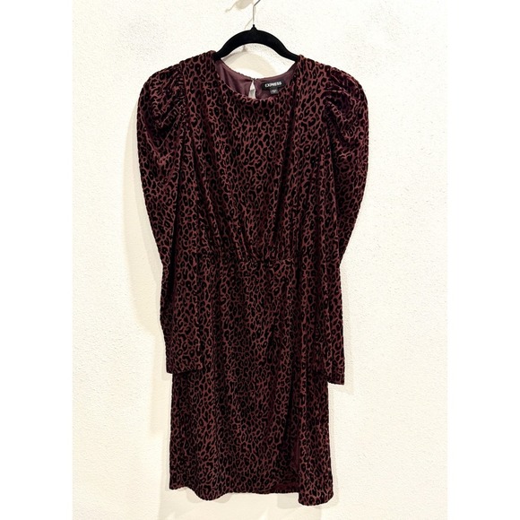 Express Dresses & Skirts - Express Velvet Burnout Leopard Animal Print Dress Women's S Chic Holiday Party